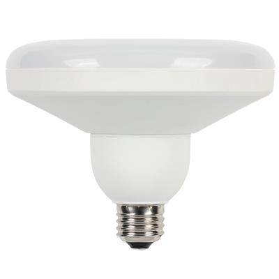LED Specialty Bulbs